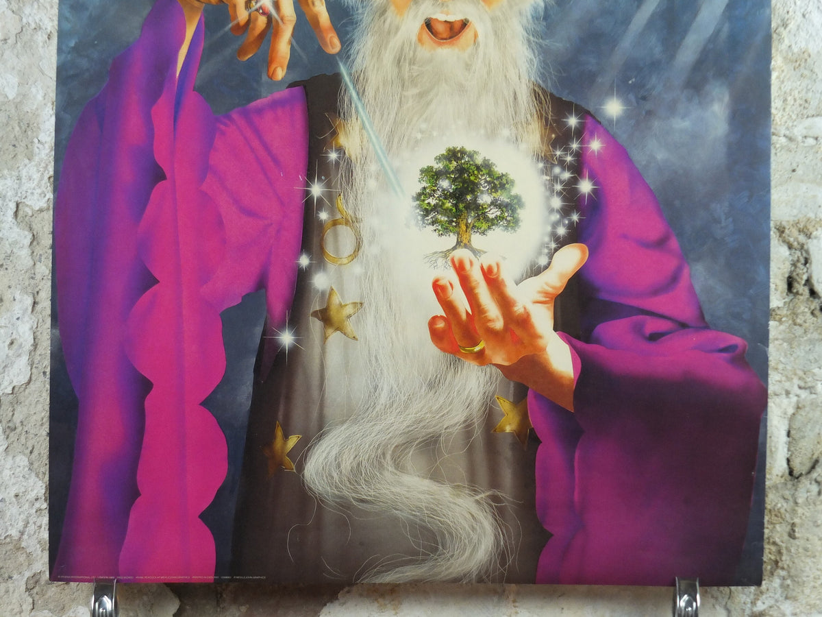 1989 Tree Wizard Poster, by Irvine Peacock, From Athena International, 0308603, fantasy wall art decor