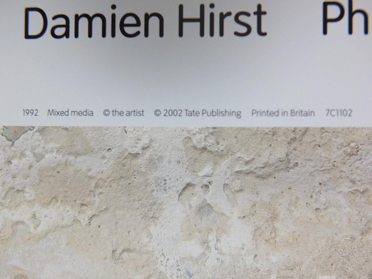 2002 Damien Hirst Pharmacy Poster, Modern Art from the Tate Gallery, Notting Hill restaurant, gallery exhibition wall art decor