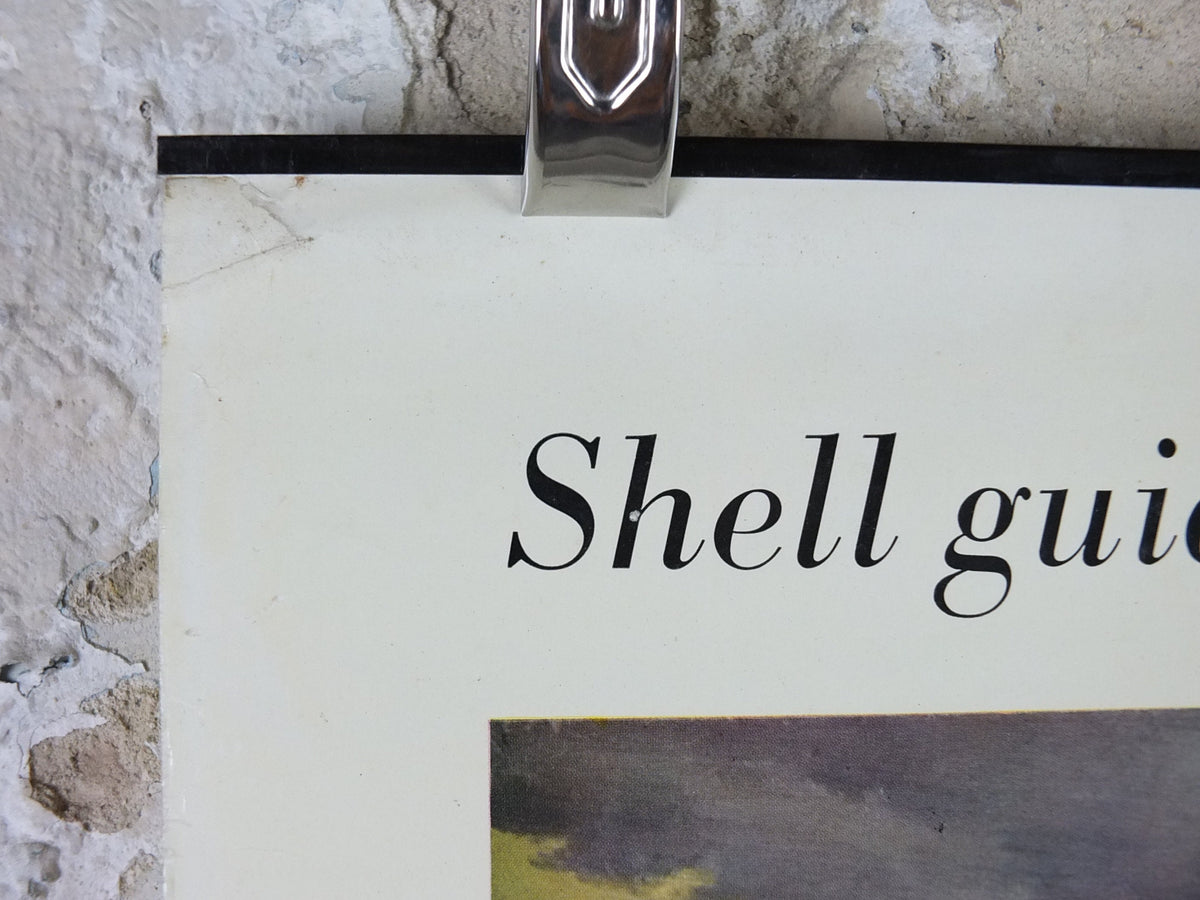 Vintage Shell Guide to Life on the Tide Line Poster, seaside, botanical and zoological, educational wall art by John Leigh Pemberton 1950s