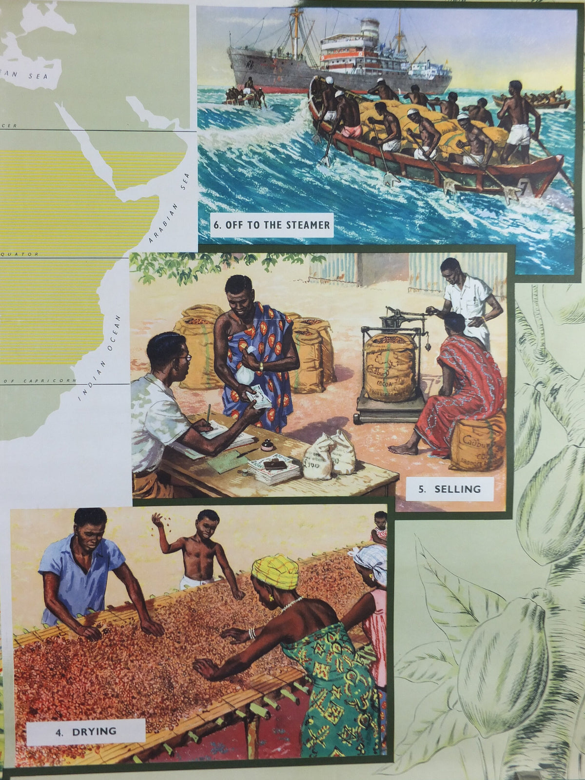 Original 1960s Cocoa Farming in Ghana Poster, Cadbury Chocolate, Cadburys Advertising, wall art retro decor