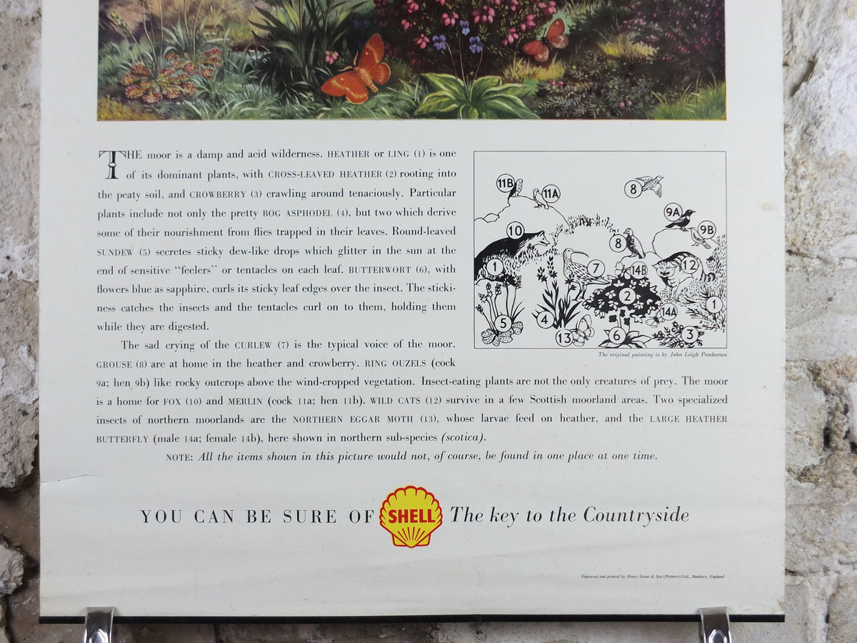 Vintage Shell Guide to Life on the Moor Poster, botanical and zoological, educational wall art by John Leigh Pemberton 1950s