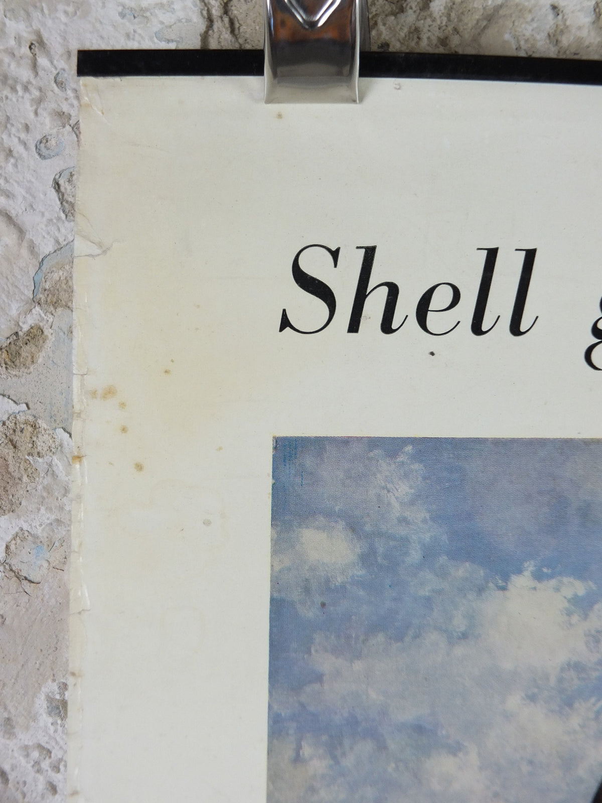 Vintage Shell Guide to Life on the Moor Poster, botanical and zoological, educational wall art by John Leigh Pemberton 1950s