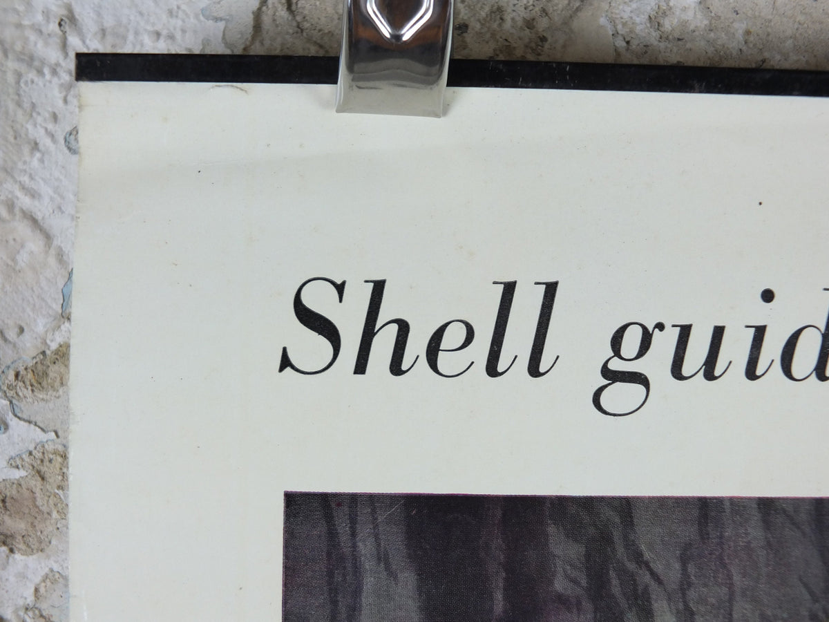 Vintage Shell Guide to Life on the Mountain Poster, botanical and zoological, educational wall art by John Leigh Pemberton 1950s