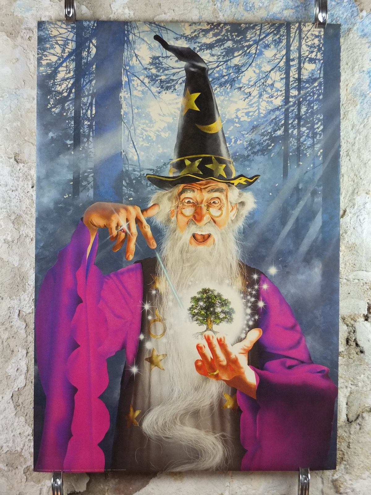1989 Tree Wizard Poster, by Irvine Peacock, From Athena International, 0308603, fantasy wall art decor