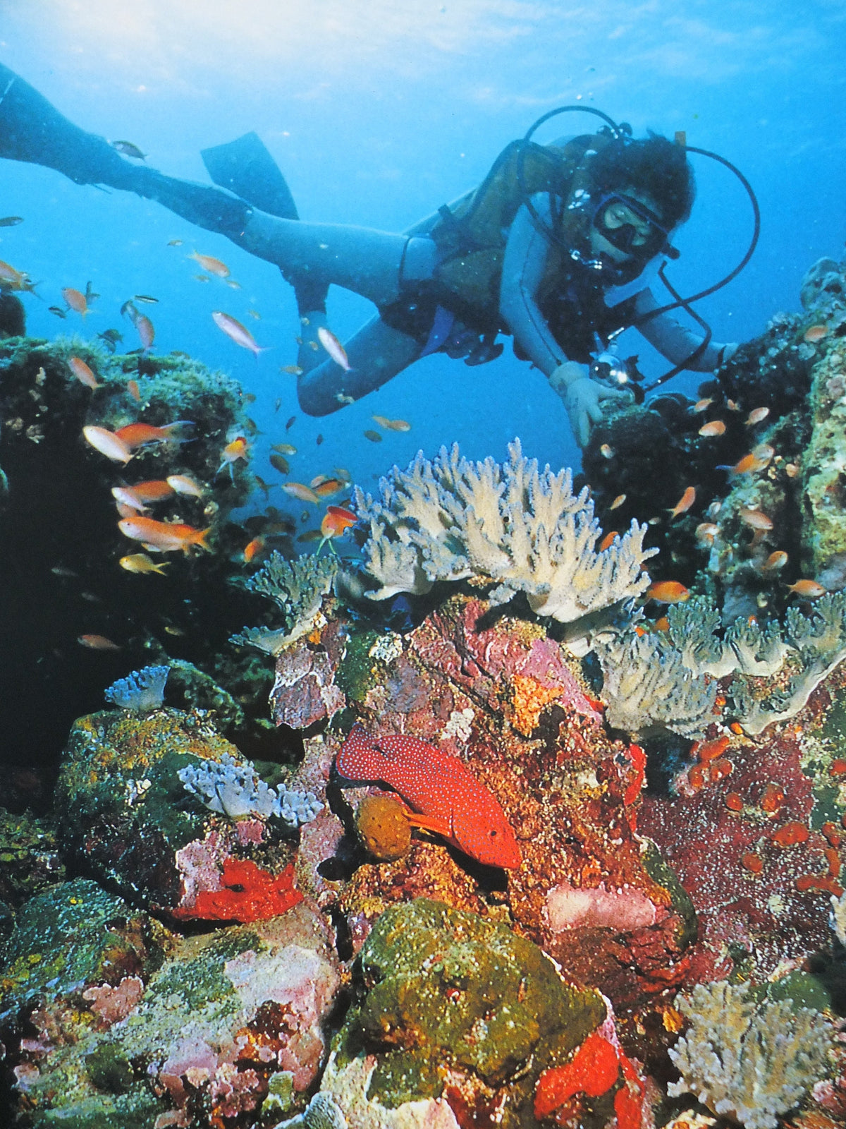 1990 Malaysia Travel Poster, Scuba Diving, Snorkling, Coral Reef, tropical fish, travel tourism, advertising print, wall art retro decor