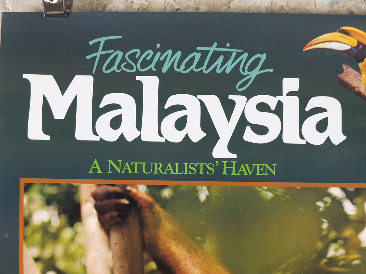 1990 Malaysia Travel Poster, An orang utan from Zoo Negara, A Naturalists Haven, travel tourism, advertising print, wall art retro decor