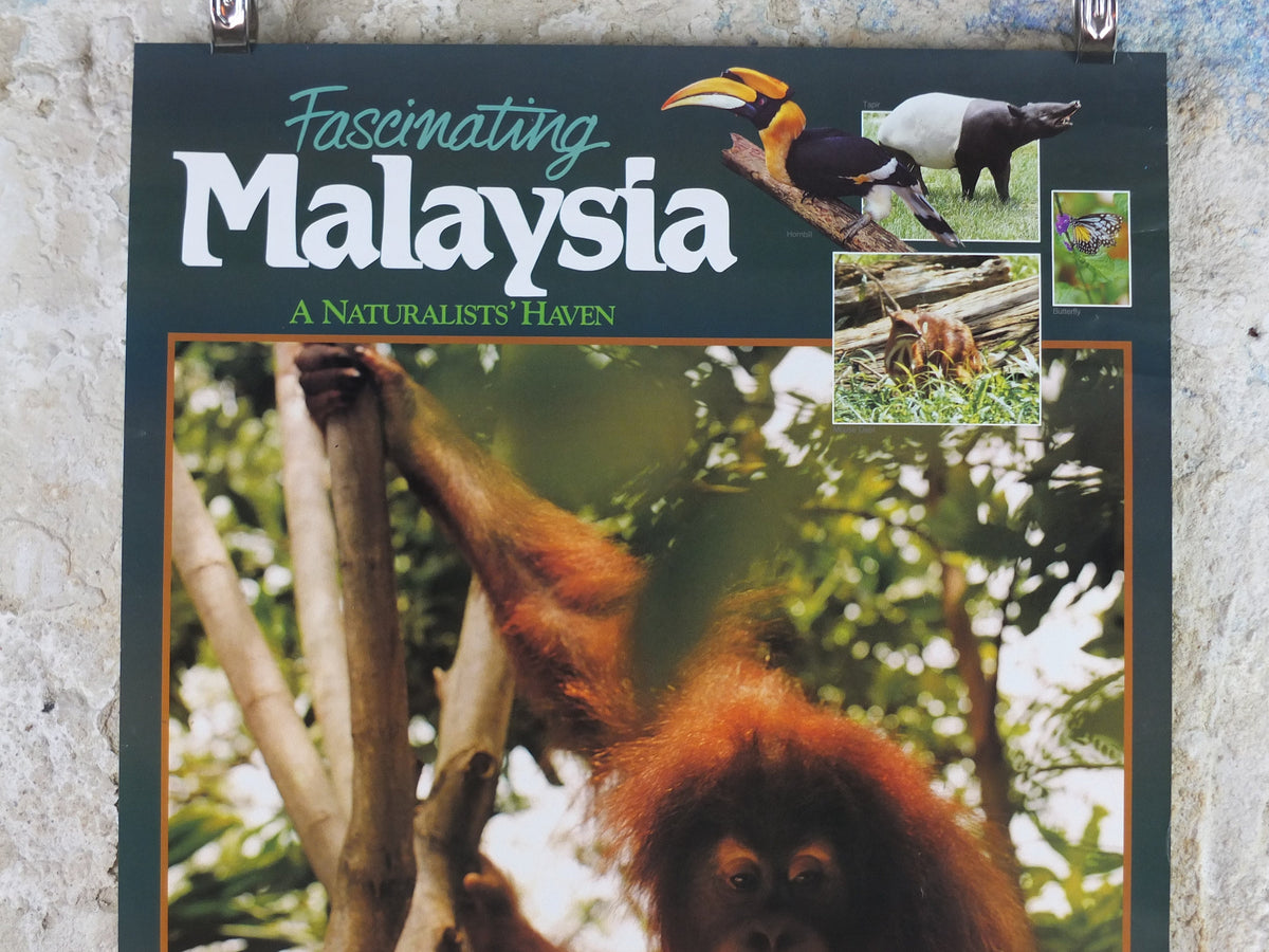 1990 Malaysia Travel Poster, An orang utan from Zoo Negara, A Naturalists Haven, travel tourism, advertising print, wall art retro decor