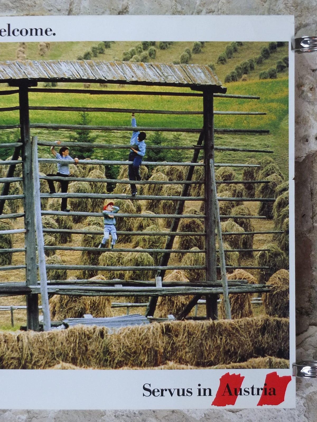 1990s Austrian Agriculture Poster, Traditional Hay Drying, Farming, published by Austrian Federal Government, travel tourism, wall art decor