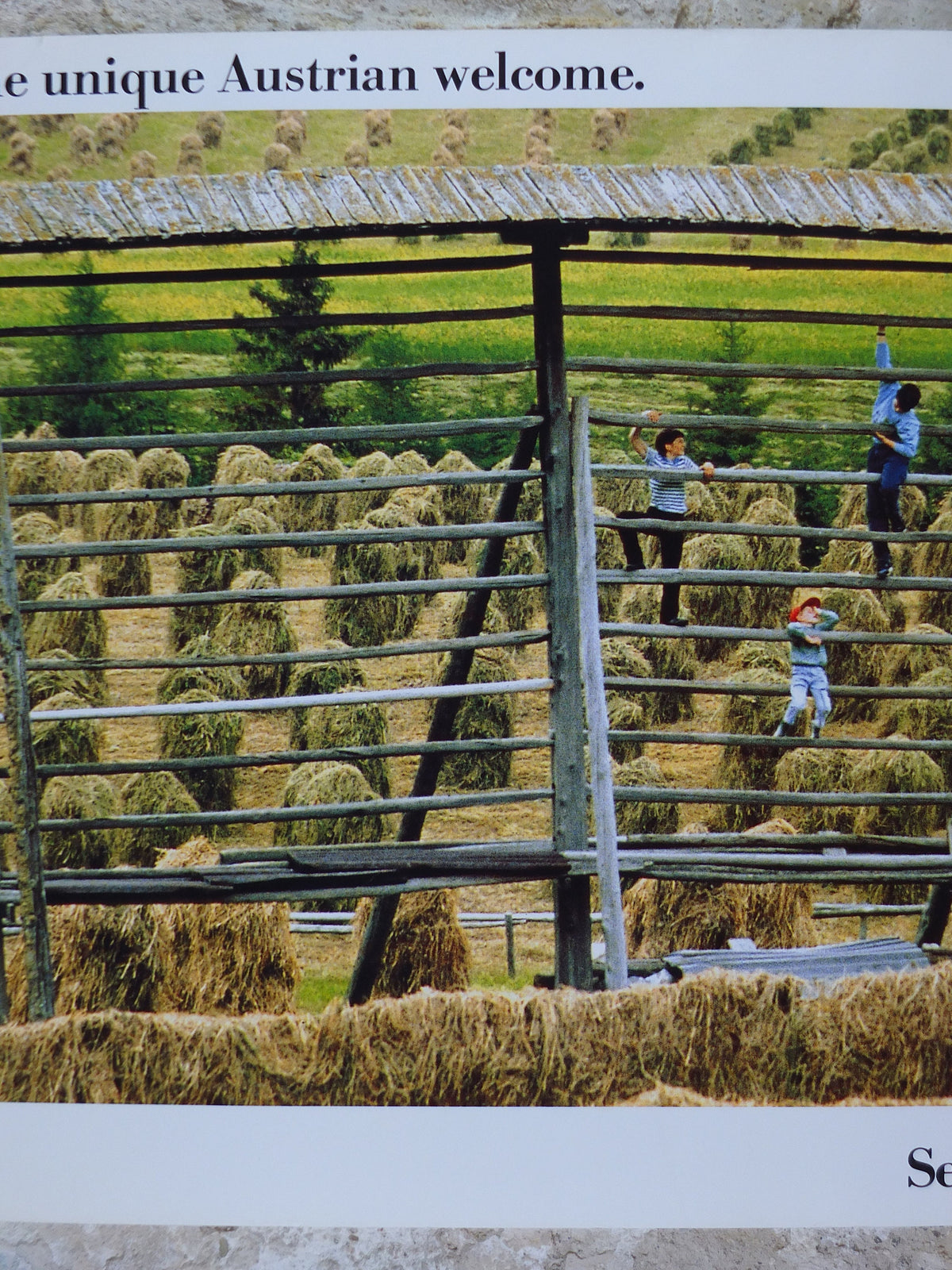1990s Austrian Agriculture Poster, Traditional Hay Drying, Farming, published by Austrian Federal Government, travel tourism, wall art decor