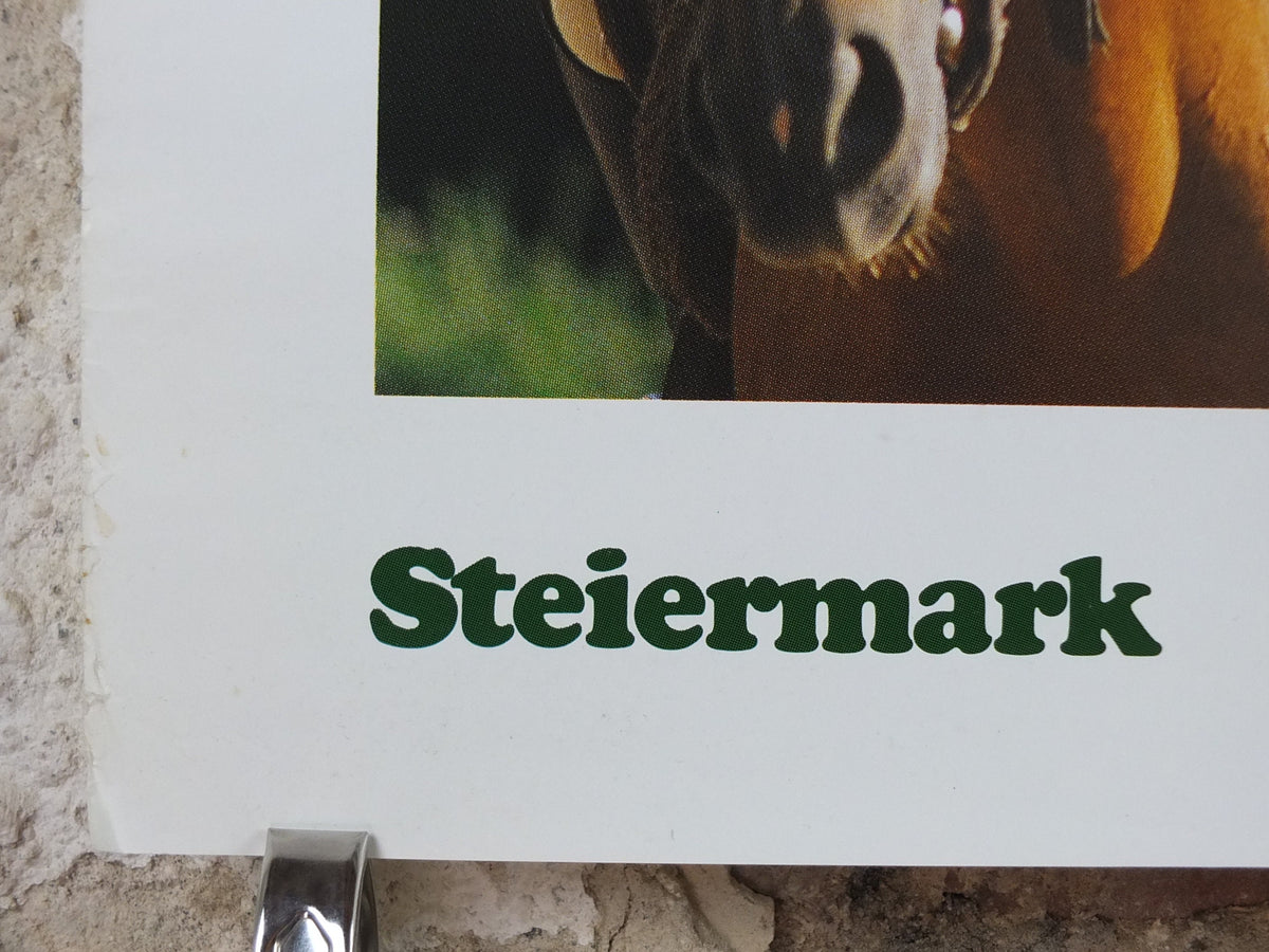 1990s Steiermark Styria Poster, Fest im Sattel, Reiten in Urlaub, Pferd, Horse, Austria travel tourism, wall art decor