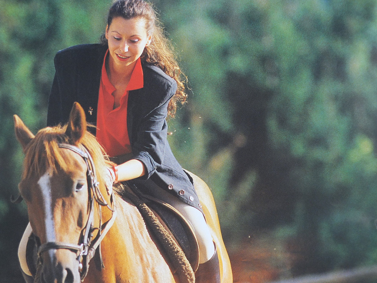 1990s Steiermark Styria Poster, Fest im Sattel, Reiten in Urlaub, Pferd, Horse, Austria travel tourism, wall art decor