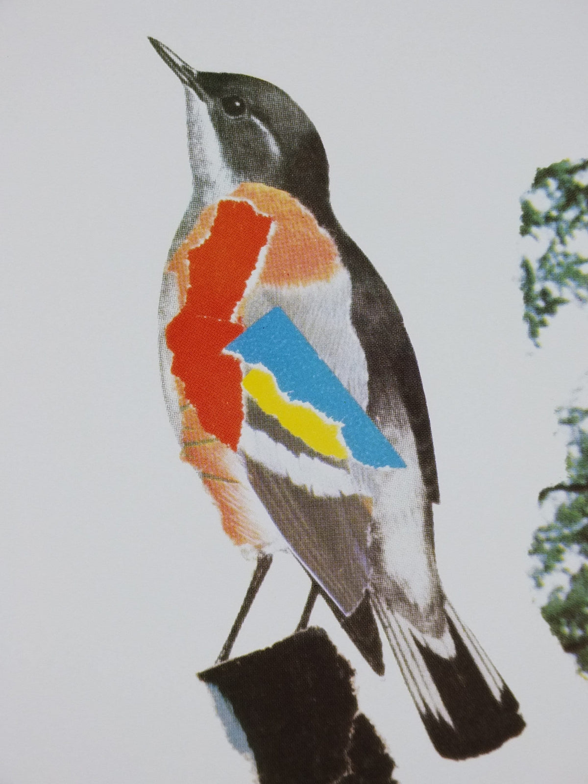 1970s Original National Trust Poster, Free Admission, Bird, by Michael Carney, heritage conservation, wall art retro decor
