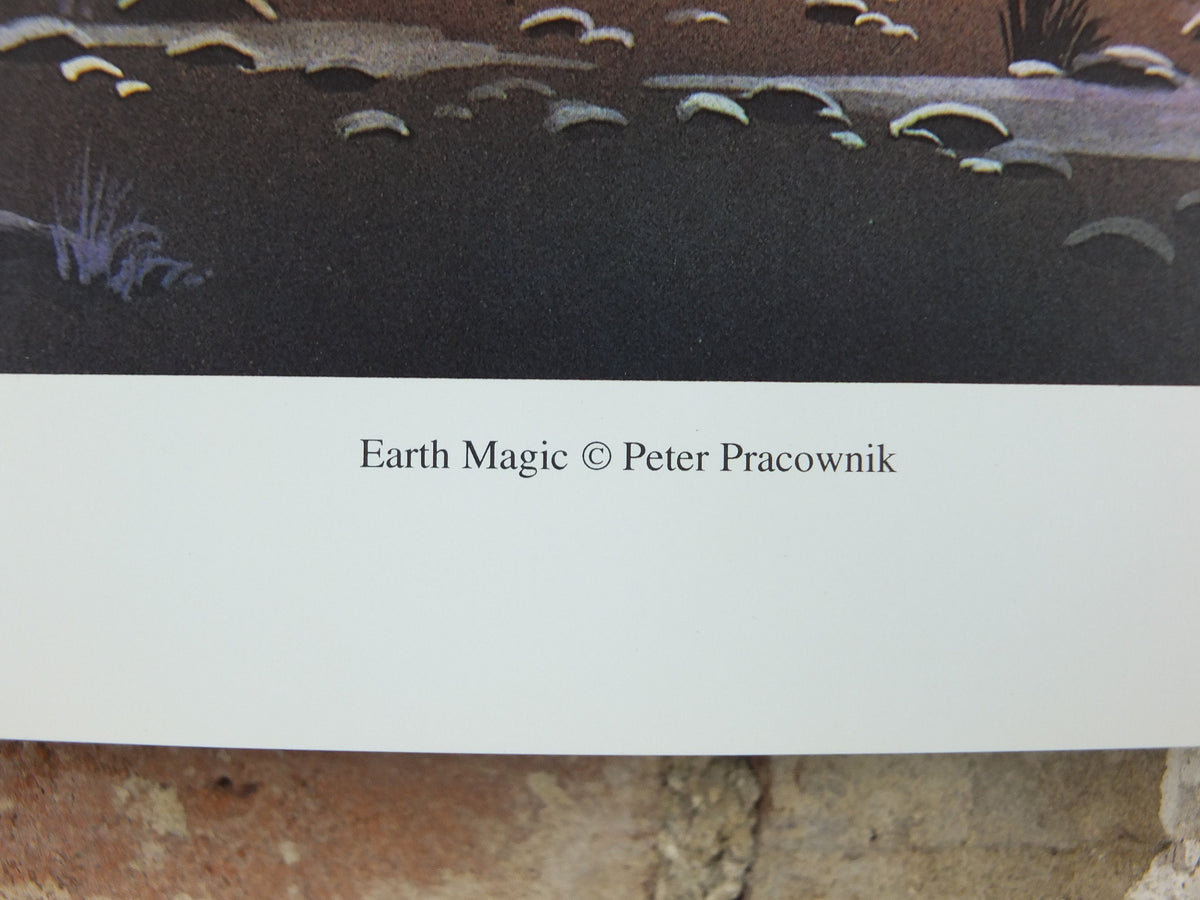 1990s Earth Magic Poster, by Peter Pracownik, lightning pentacle magic, from Rhiannon Press, fantasy fiction wall art decor