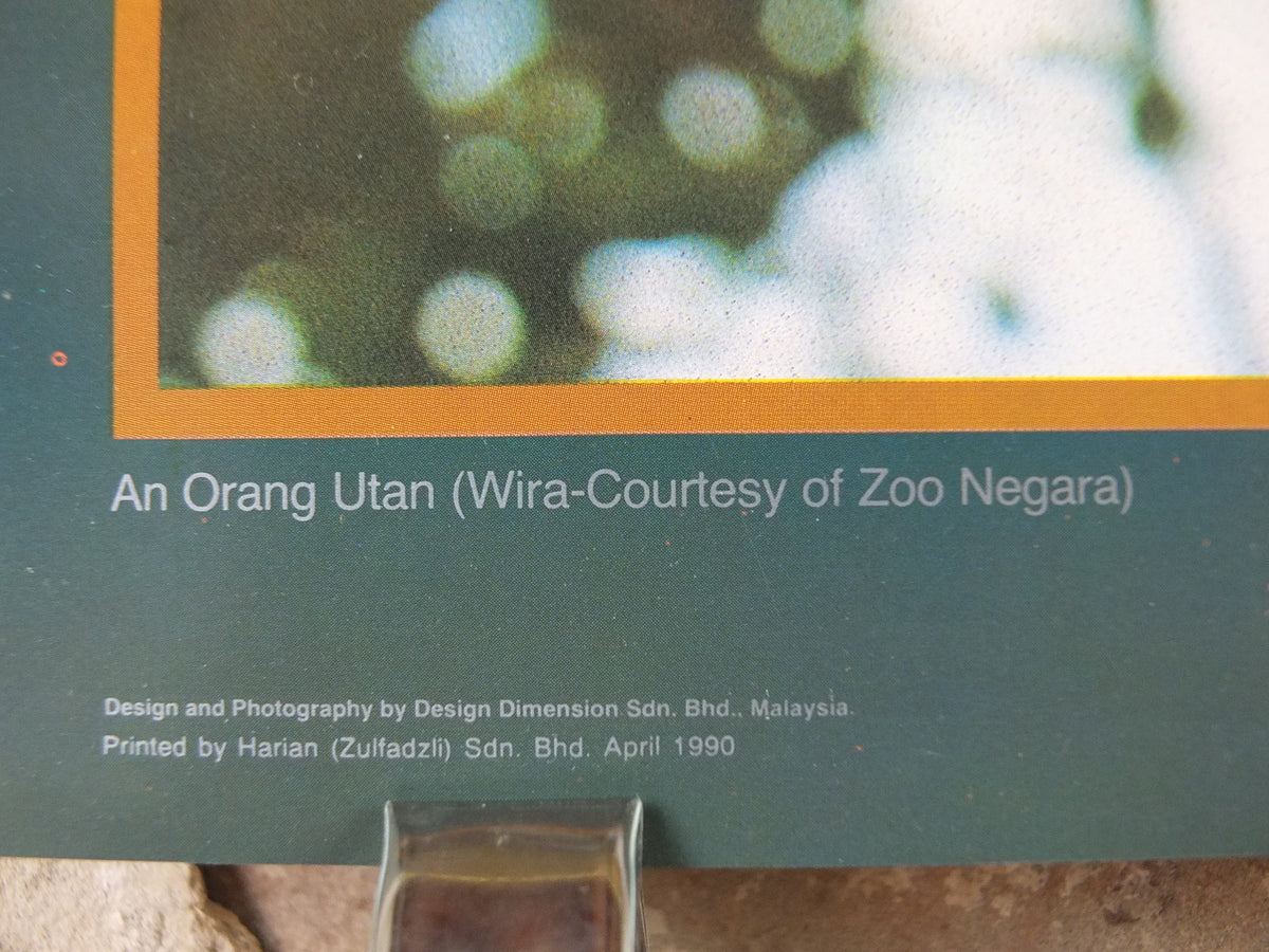 1990 Malaysia Travel Poster, An orang utan from Zoo Negara, A Naturalists Haven, travel tourism, advertising print, wall art retro decor