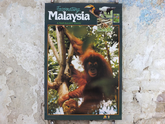 1990 Malaysia Travel Poster, An orang utan from Zoo Negara, A Naturalists Haven, travel tourism, advertising print, wall art retro decor