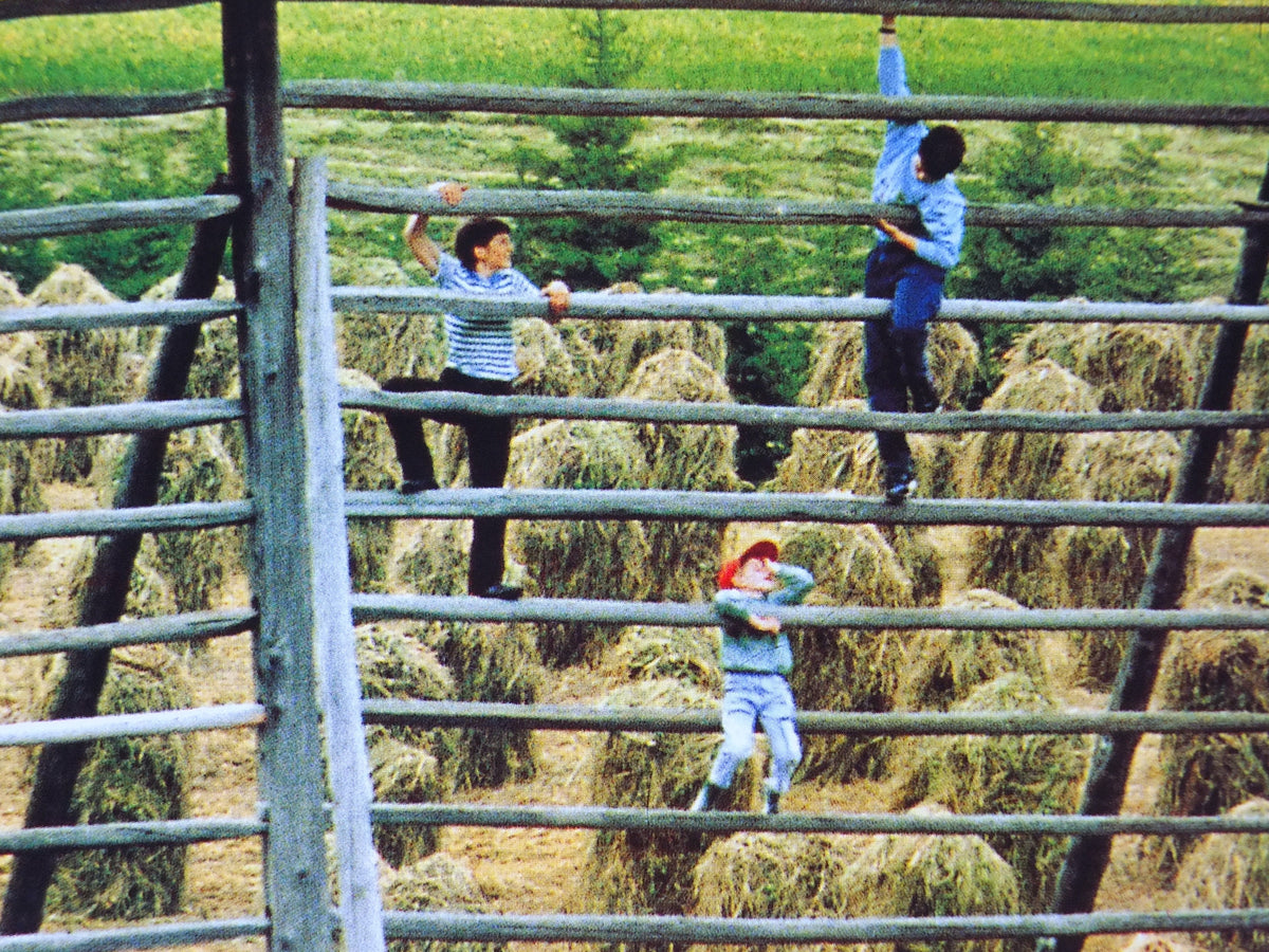 1990s Austrian Agriculture Poster, Traditional Hay Drying, Farming, published by Austrian Federal Government, travel tourism, wall art decor