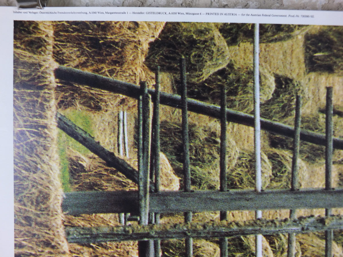 1990s Austrian Agriculture Poster, Traditional Hay Drying, Farming, published by Austrian Federal Government, travel tourism, wall art decor