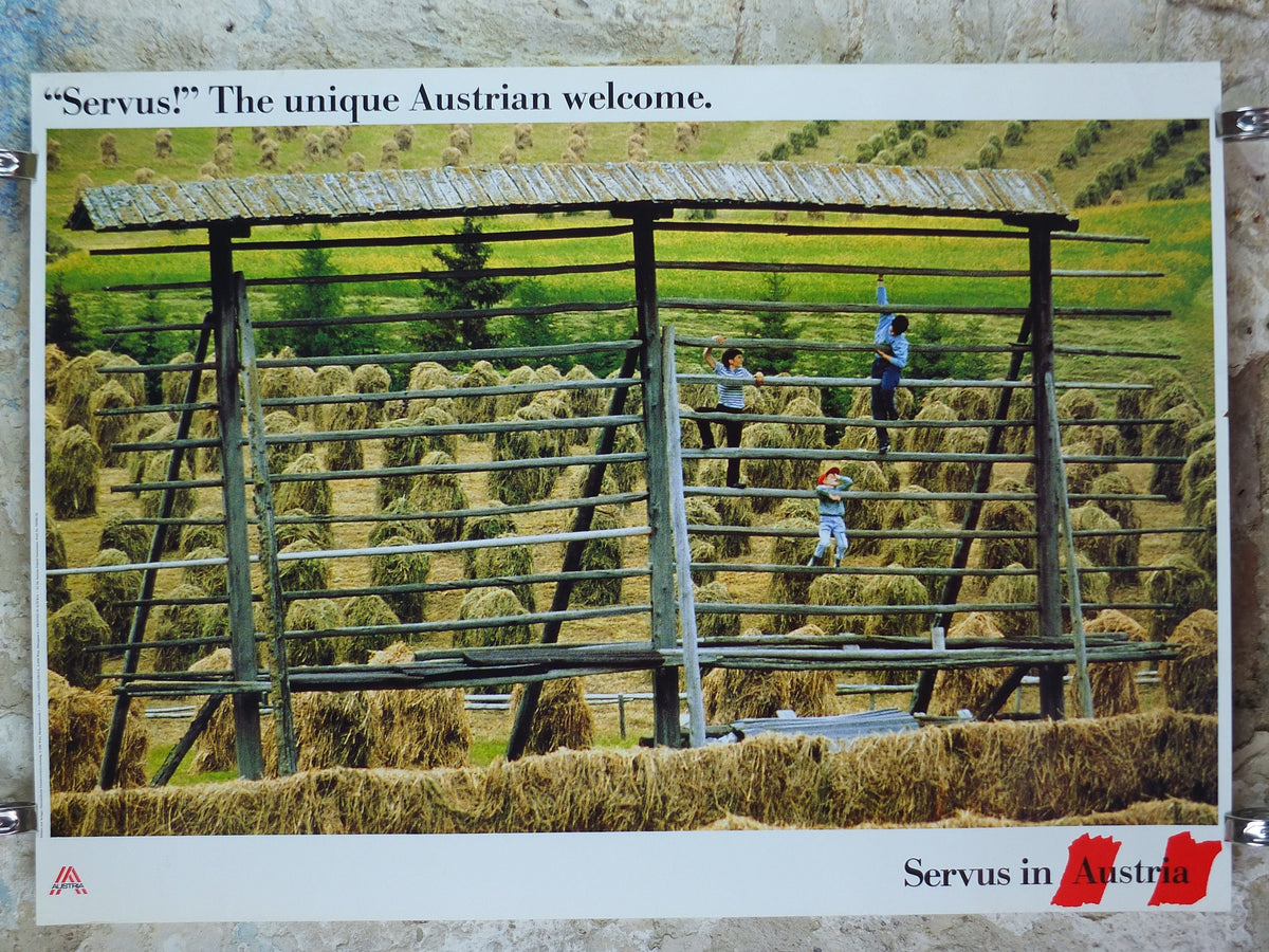 1990s Austrian Agriculture Poster, Traditional Hay Drying, Farming, published by Austrian Federal Government, travel tourism, wall art decor