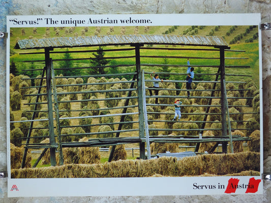 1990s Austrian Agriculture Poster, Traditional Hay Drying, Farming, published by Austrian Federal Government, travel tourism, wall art decor