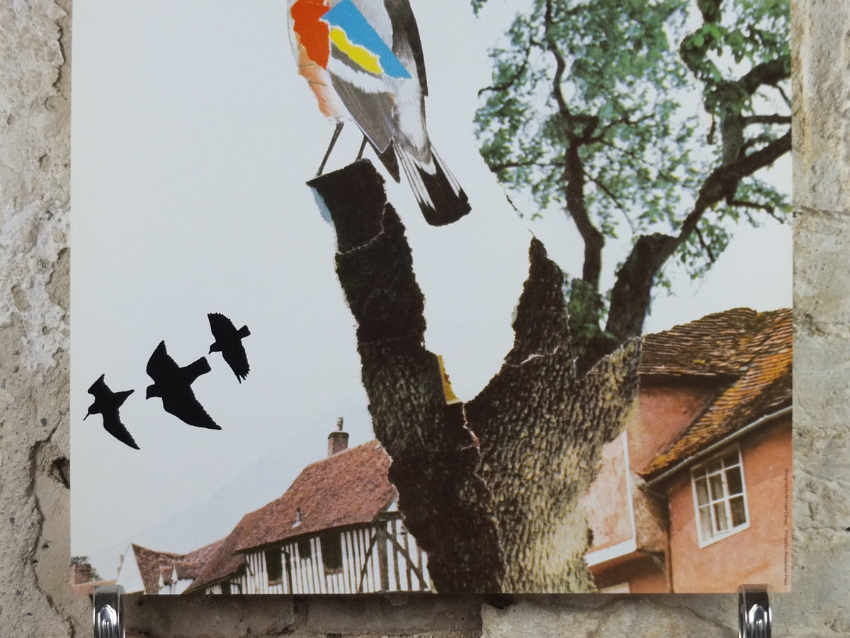 1970s Original National Trust Poster, Free Admission, Bird, by Michael Carney, heritage conservation, wall art retro decor