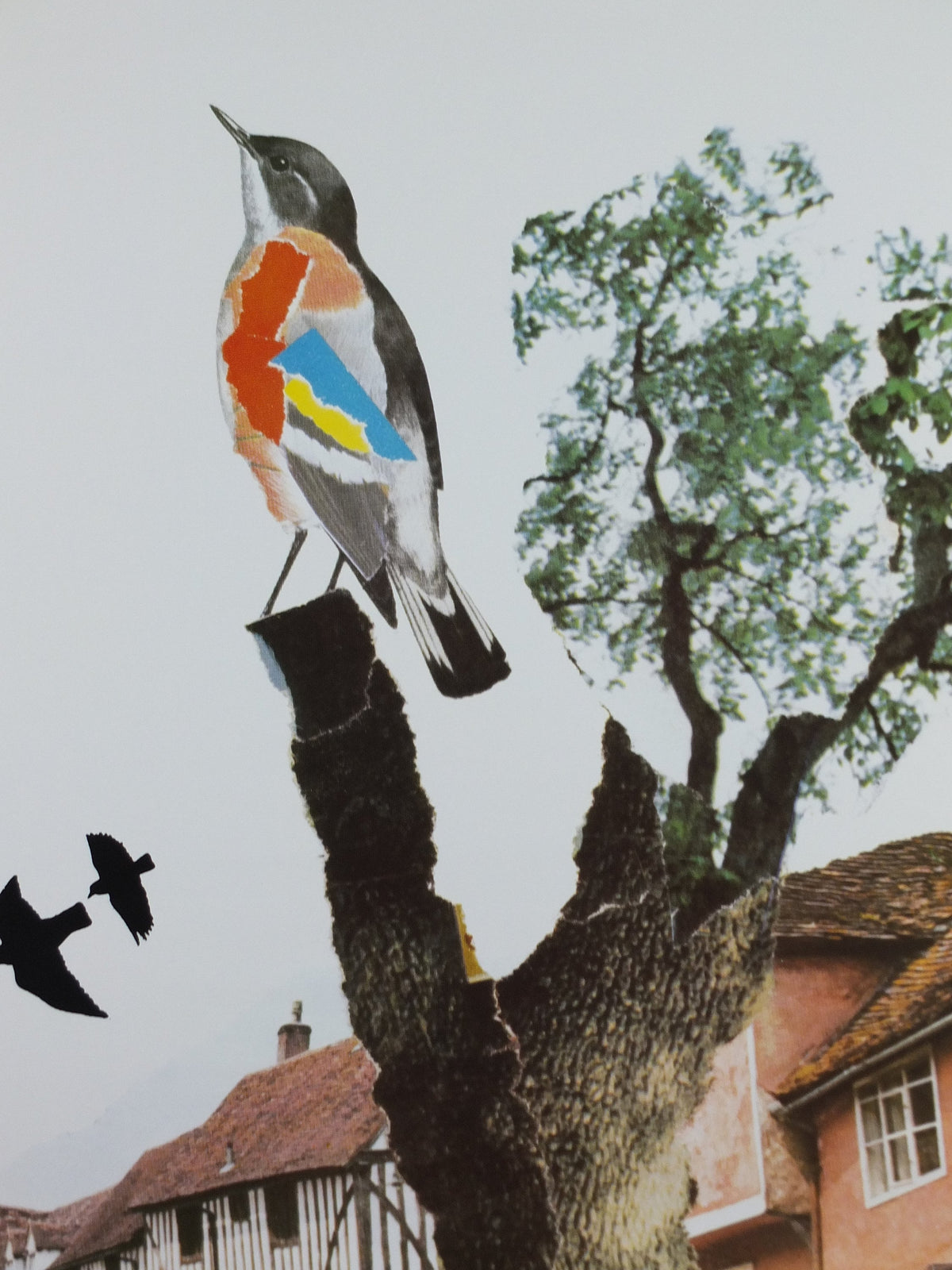 1970s Original National Trust Poster, Free Admission, Bird, by Michael Carney, heritage conservation, wall art retro decor