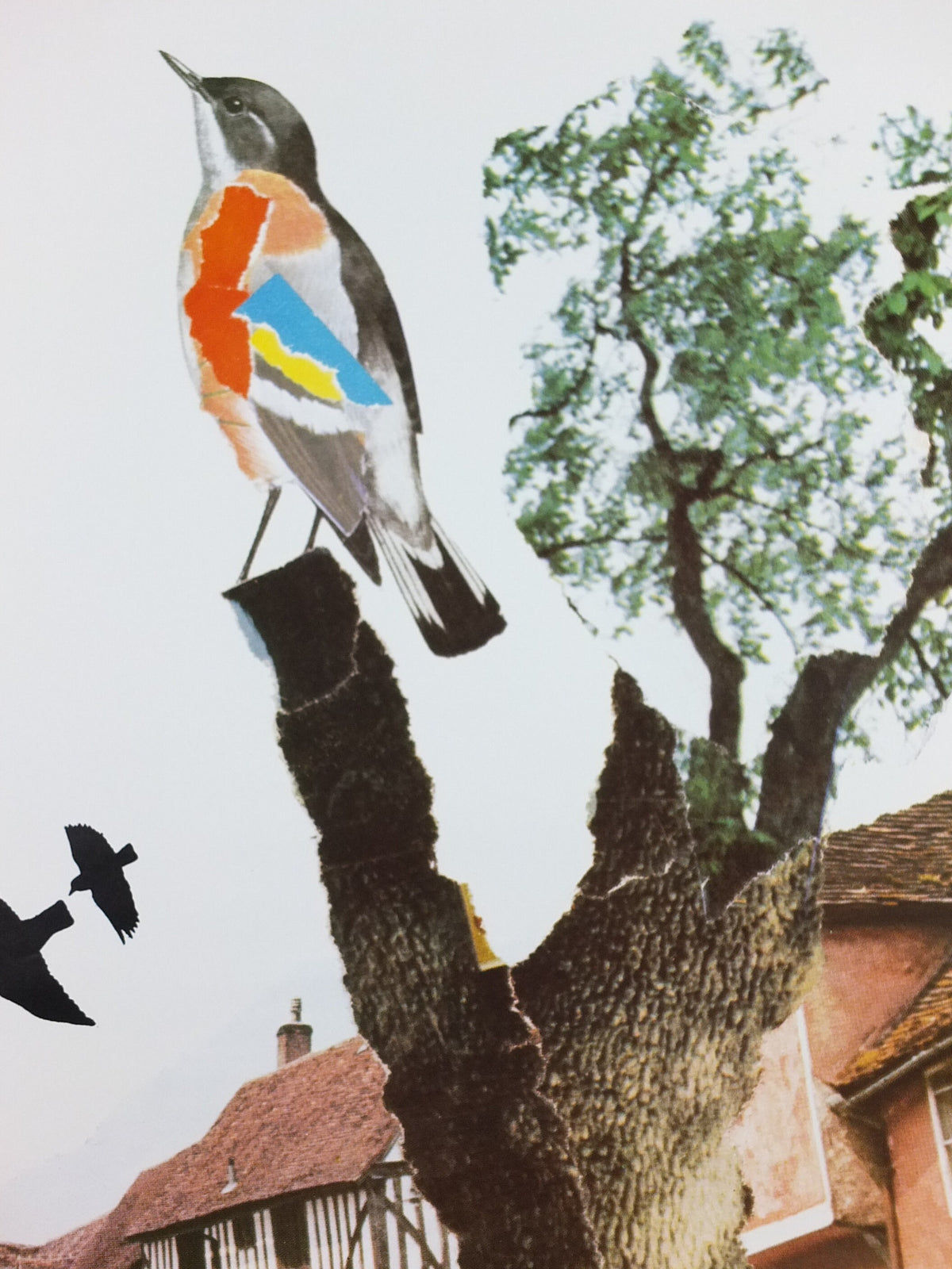 1970s Original National Trust Poster, Free Admission, Bird, by Michael Carney, heritage conservation, wall art retro decor