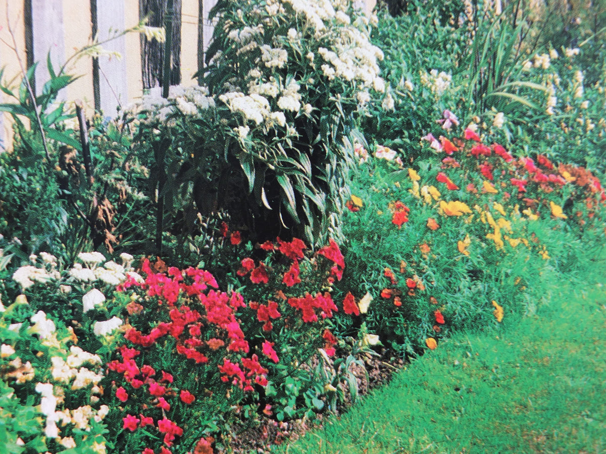 1970s Original National Trust Poster, Smallhythe Place, Tenterden, Kent, England, heritage conservation, wall art retro decor