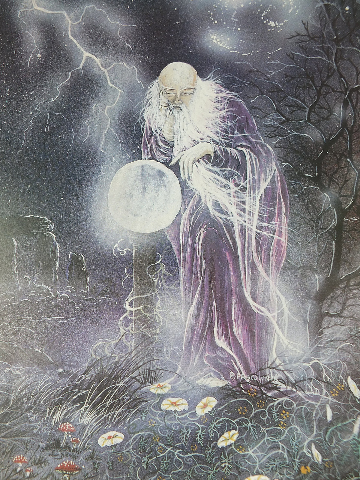 1990s The Four Elements Poster, by Peter Pracownik, Earth Sea Air Fire Wind, from Rhiannon Press, fantasy fiction wall art decor