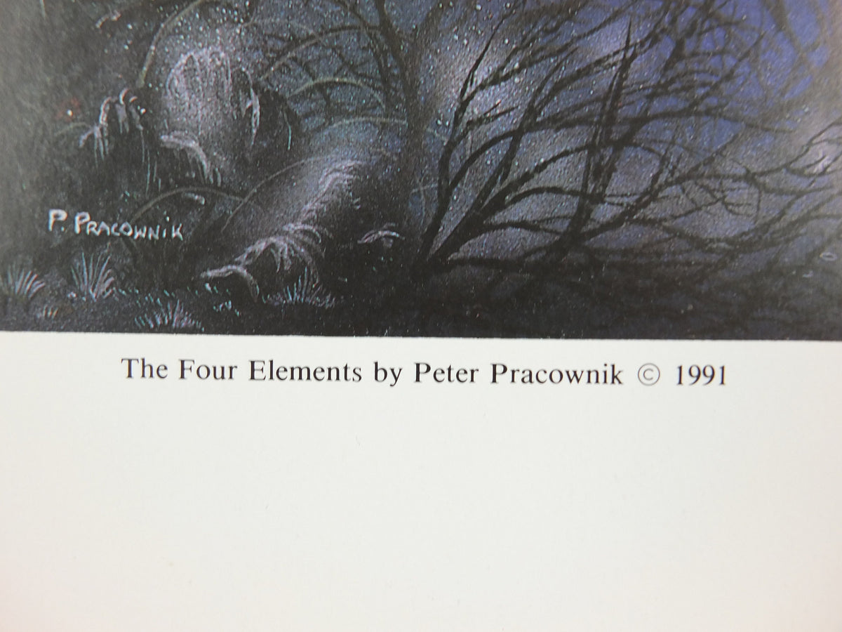 1990s The Four Elements Poster, by Peter Pracownik, Earth Sea Air Fire Wind, from Rhiannon Press, fantasy fiction wall art decor
