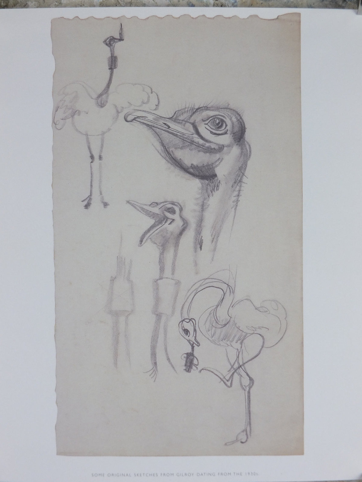 Guinness Ostrich Zoo Poster, by John Gilroy, drafts in pencil, Advertising campaign Wall art retro 1990s