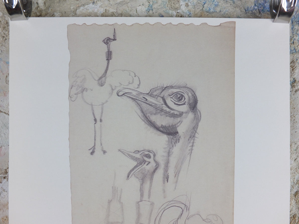 Guinness Ostrich Zoo Poster, by John Gilroy, drafts in pencil, Advertising campaign Wall art retro 1990s