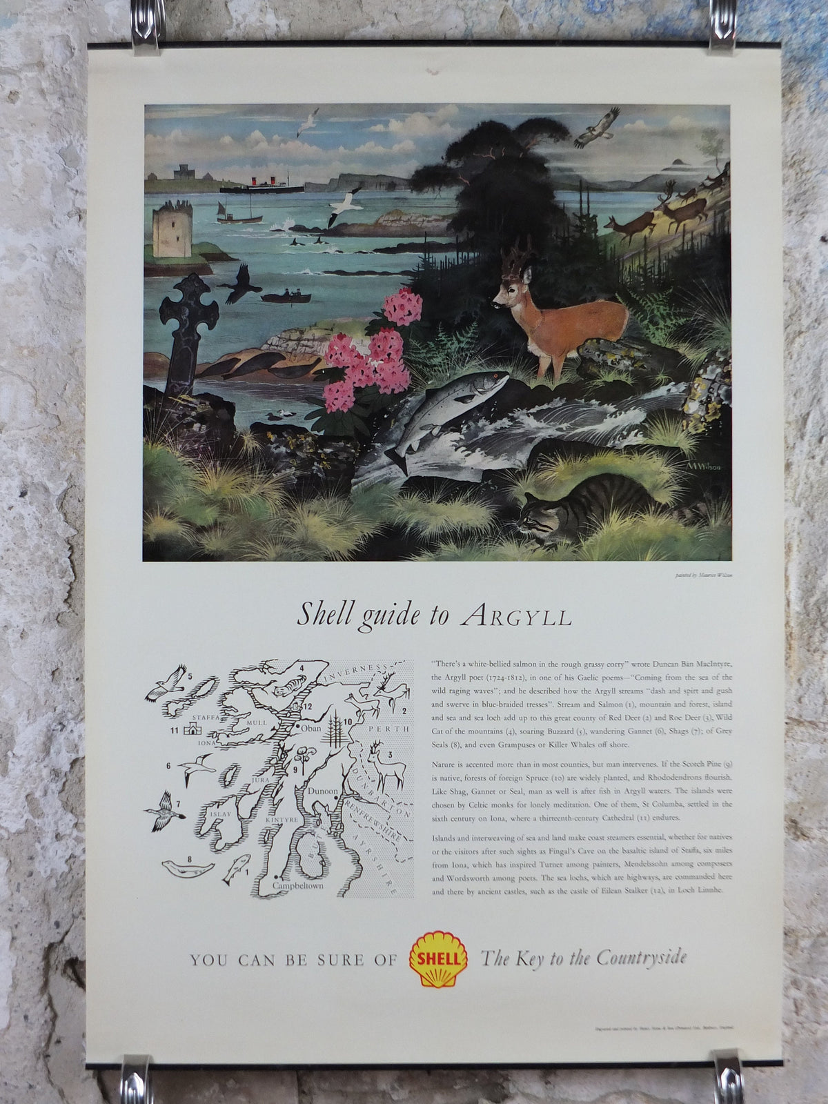 Shell Guide to Argyll Poster, Scotland by Maurice Wilson 1950s vintage, The Key to the Countryside, educational wall art and decor
