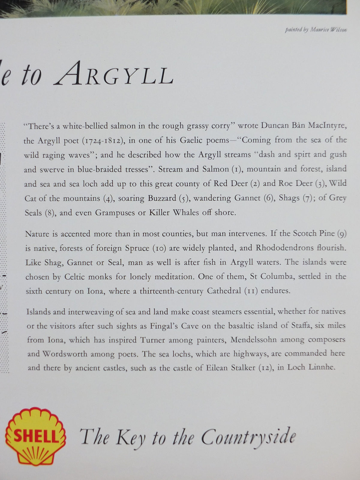 Shell Guide to Argyll Poster, Scotland by Maurice Wilson 1950s vintage, The Key to the Countryside, educational wall art and decor