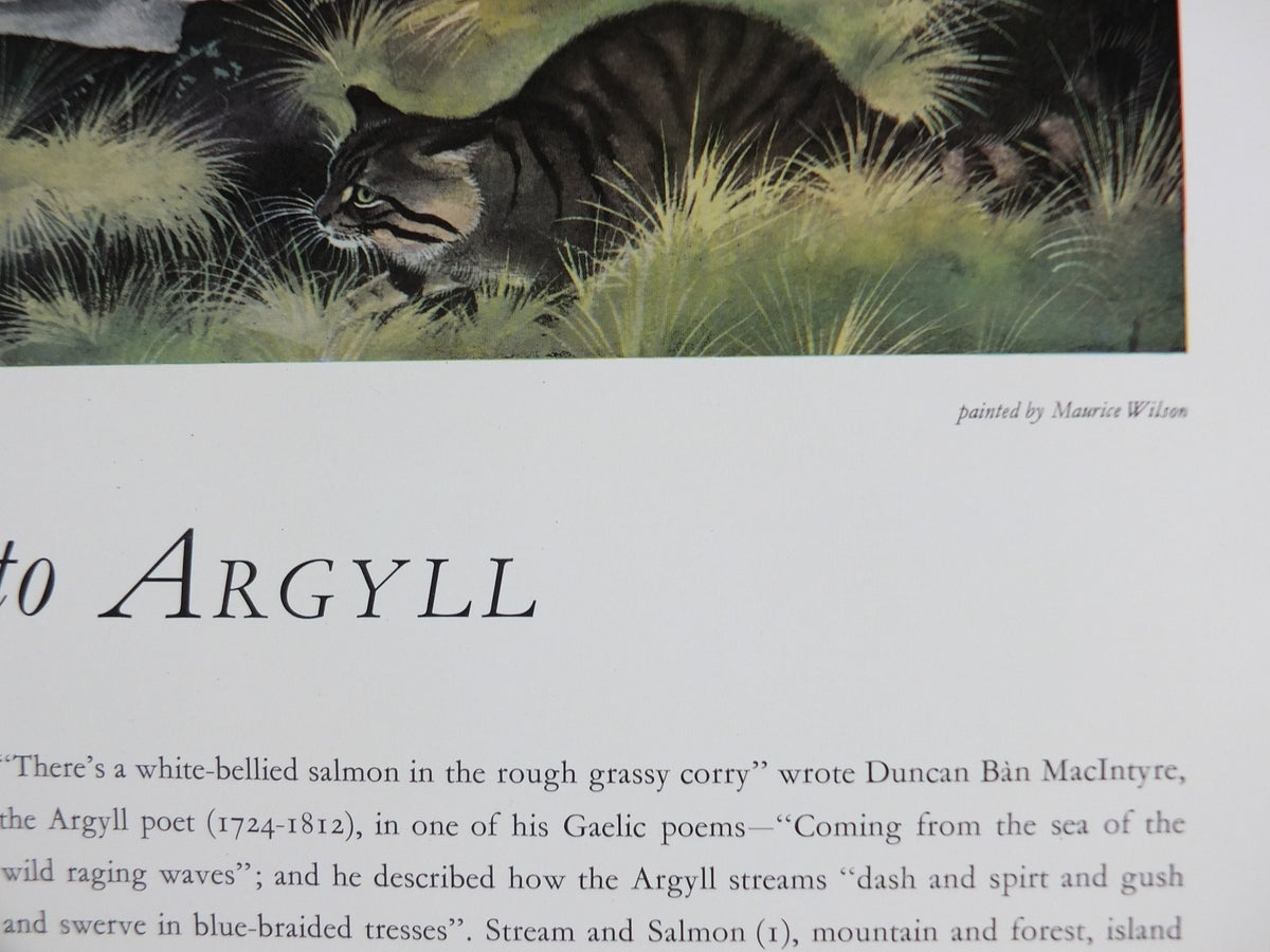 Shell Guide to Argyll Poster, Scotland by Maurice Wilson 1950s vintage, The Key to the Countryside, educational wall art and decor