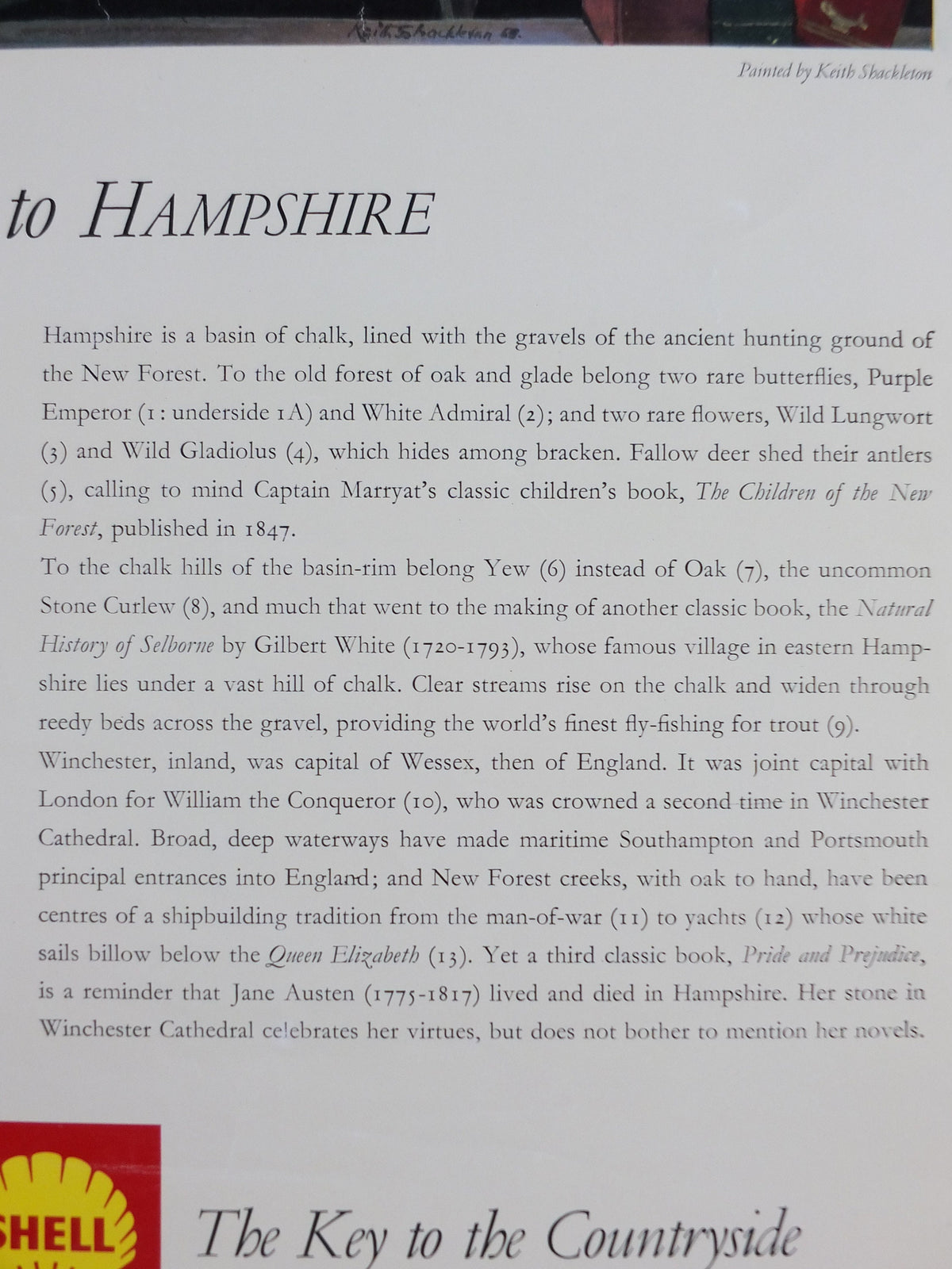 Shell Guide to Hampshire Poster, England by Keith Shackleton 1950s vintage, The Key to the Countryside, educational wall art and decor