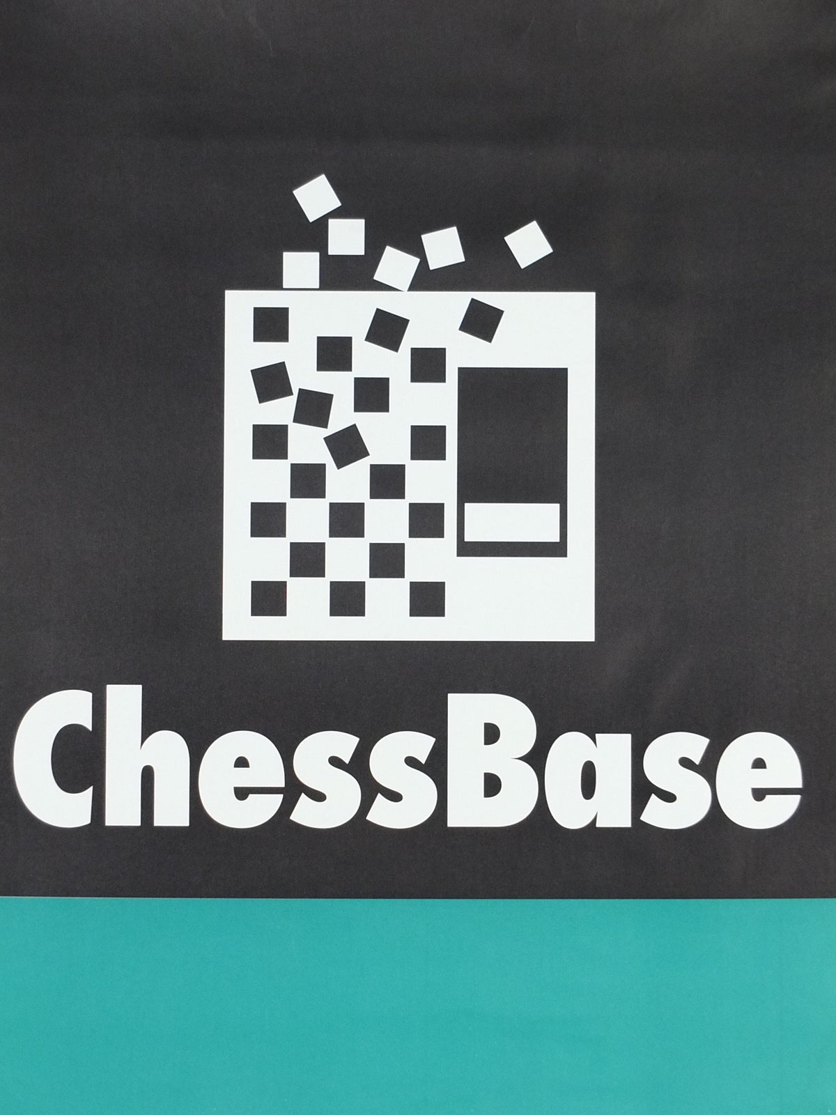 1990s Chessbase Poster, advertising for online chess company, wall art decor