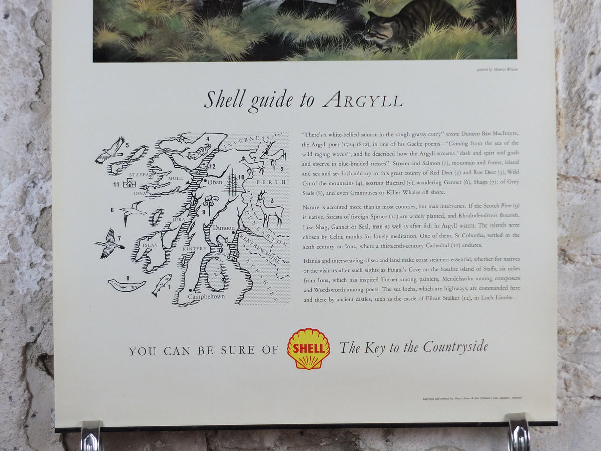 Shell Guide to Argyll Poster, Scotland by Maurice Wilson 1950s vintage, The Key to the Countryside, educational wall art and decor