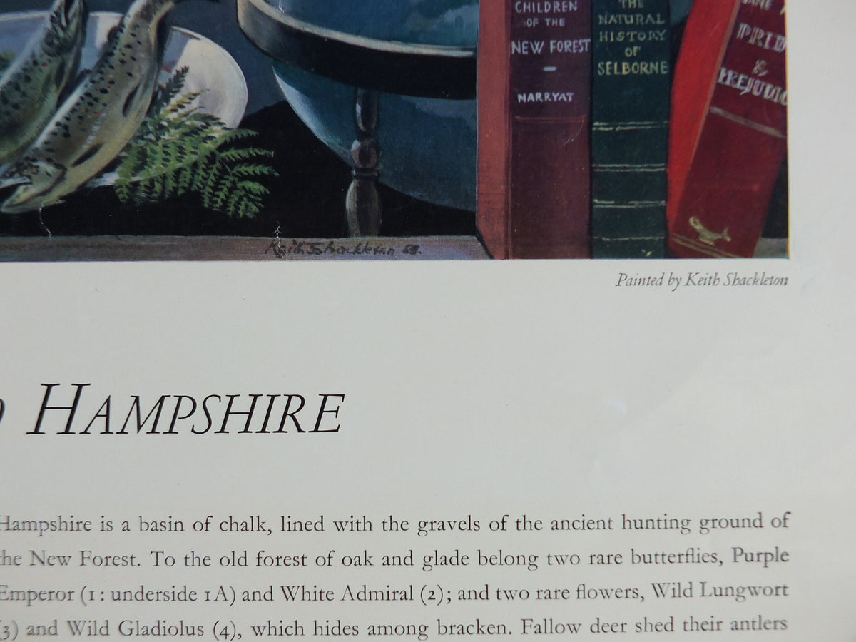 Shell Guide to Hampshire Poster, England by Keith Shackleton 1950s vintage, The Key to the Countryside, educational wall art and decor