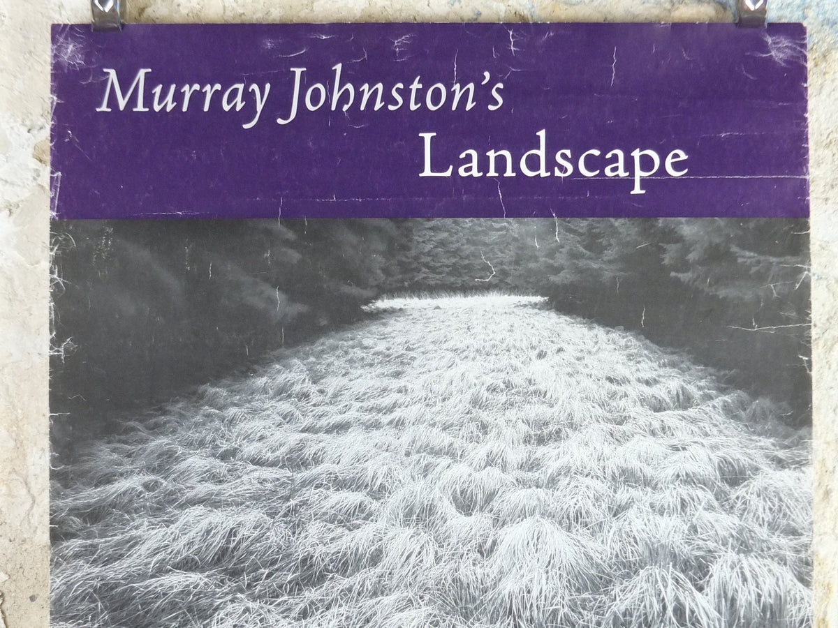 1999 Murray Johnson Poster, Kielder Forest Northumberland, Scottish National Portrait Gallery, landscape, gallery exhibition wall art decor