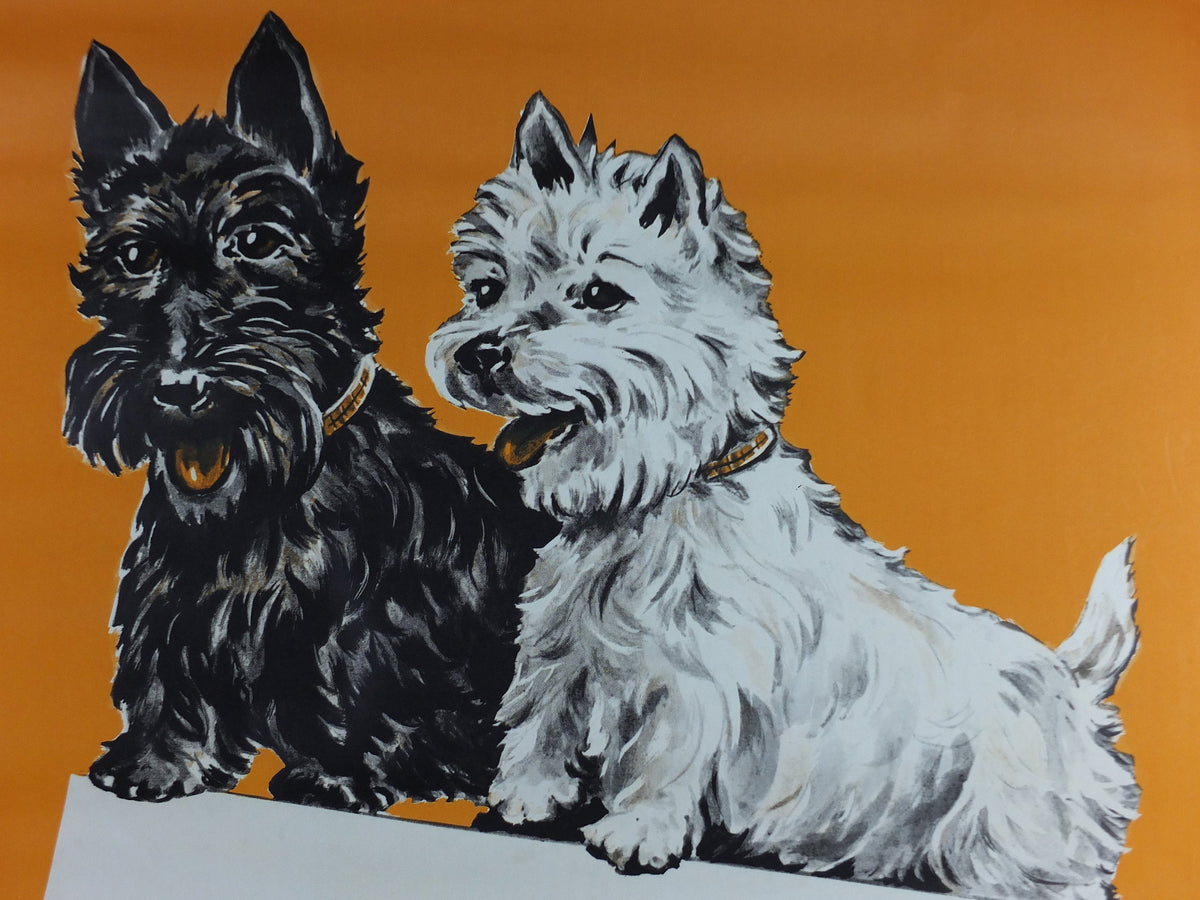 1962 Black & White Whisky Poster, Scotch Whisky, Scottish Terrier, Buchanans, Glasgow, advertising print wall art retro