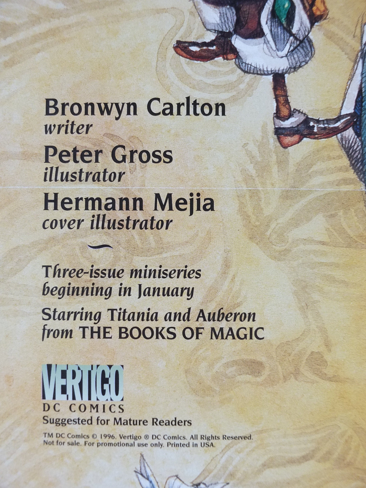 1996 The Books of Faerie Poster, advertising for children's books from Bronwyn Carlton, Peter Gross, Books of Magic, wall art retro decor
