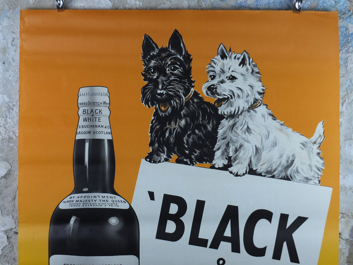1962 Black & White Whisky Poster, Scotch Whisky, Scottish Terrier, Buchanans, Glasgow, advertising print wall art retro