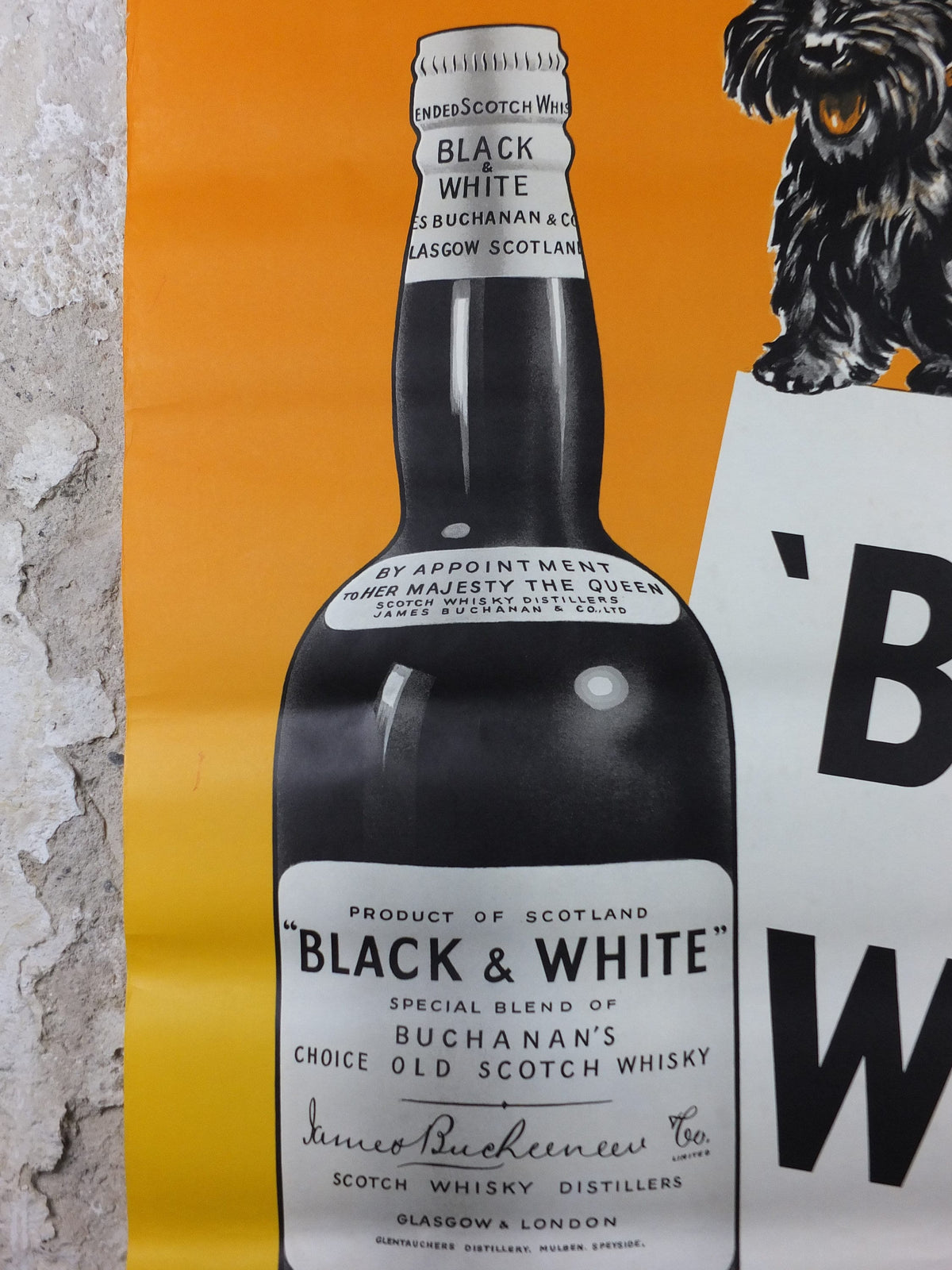 1962 Black & White Whisky Poster, Scotch Whisky, Scottish Terrier, Buchanans, Glasgow, advertising print wall art retro