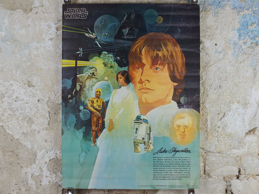 1977 Star Wars Luke Skywalker Poster, by Del Nichols, Coca Cola, Burger Chef, Princess Leia Darth Vader wall art