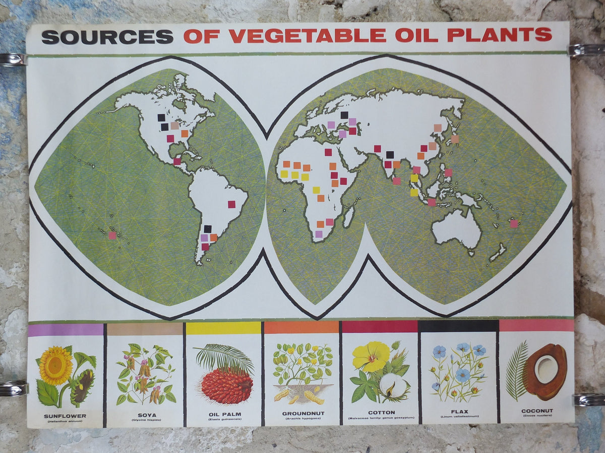 1960s Vegetable Oil Poster, Sources of Vegetable Oil Plants, Sunflower, Cotton, Flax, Soya, Coconut, Advertising, wall art retro decor