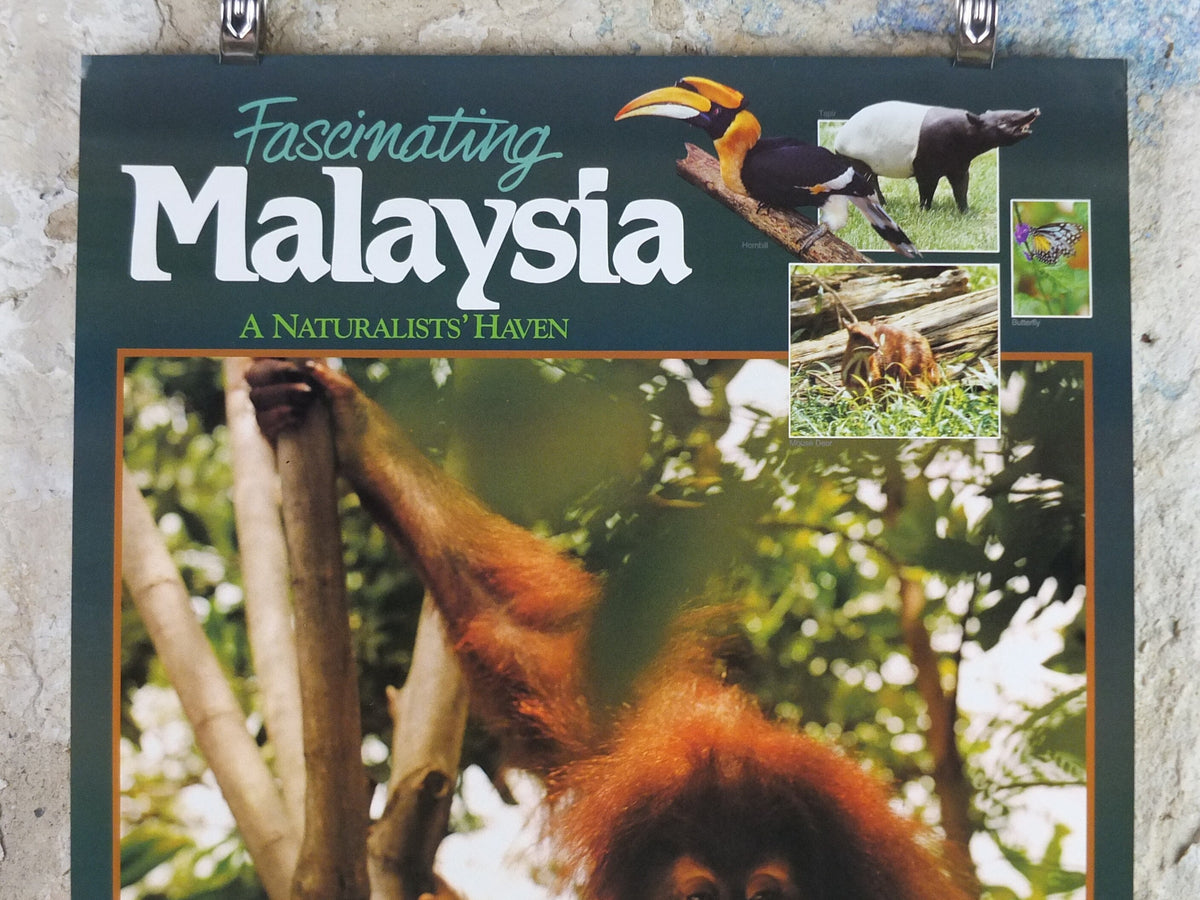 1990 Malaysia Travel Poster, An orang utan from Zoo Negara, A Naturalists Haven, travel tourism, advertising print, wall art retro decor