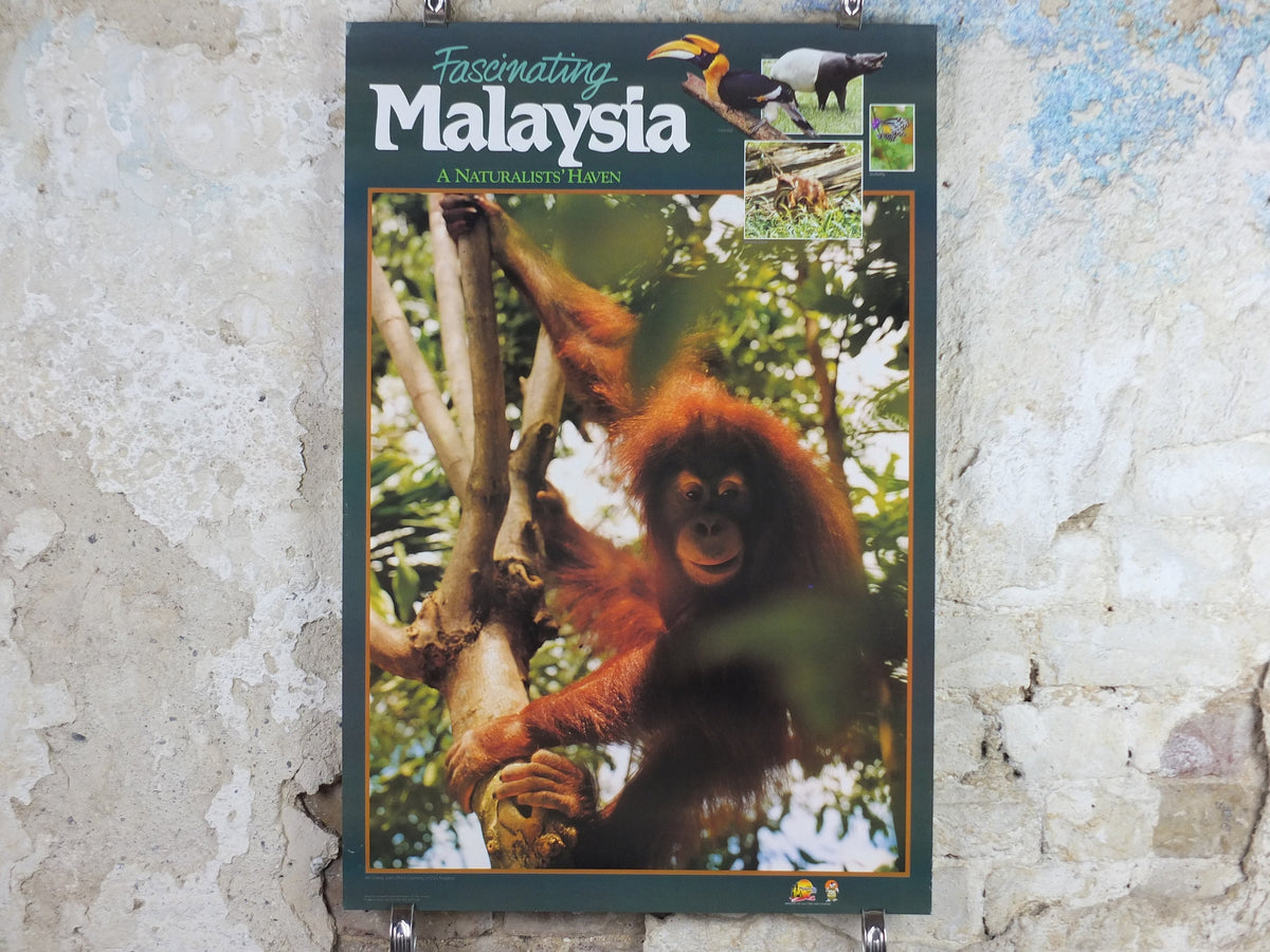 1990 Malaysia Travel Poster, An orang utan from Zoo Negara, A Naturalists Haven, travel tourism, advertising print, wall art retro decor