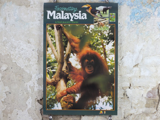 1990 Malaysia Travel Poster, An orang utan from Zoo Negara, A Naturalists Haven, travel tourism, advertising print, wall art retro decor