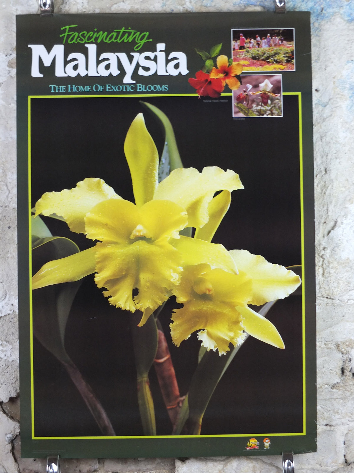 1990 Malaysia Travel Poster, Orchids, The Home of Exotic Blooms, travel tourism, advertising print, wall art retro decor