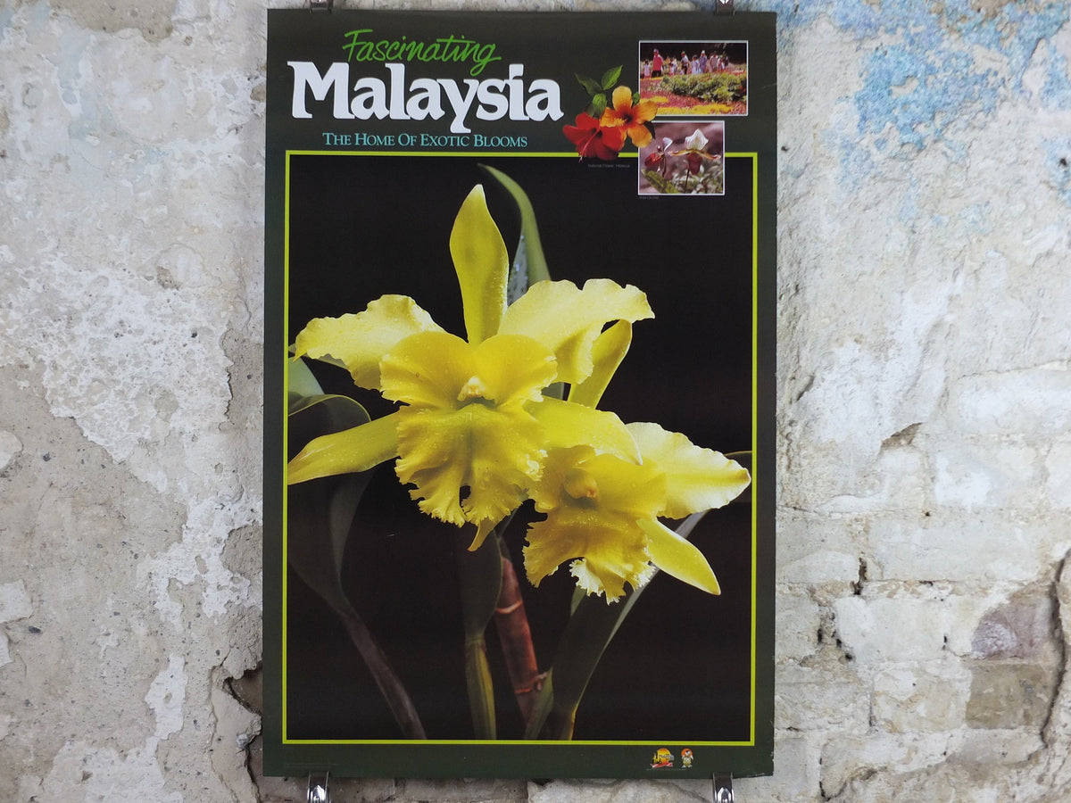 1990 Malaysia Travel Poster, Orchids, The Home of Exotic Blooms, travel tourism, advertising print, wall art retro decor